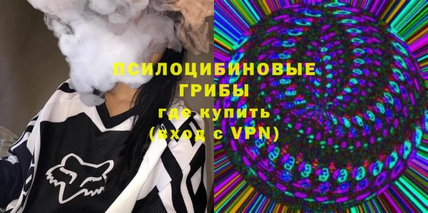 дживик Елабуга