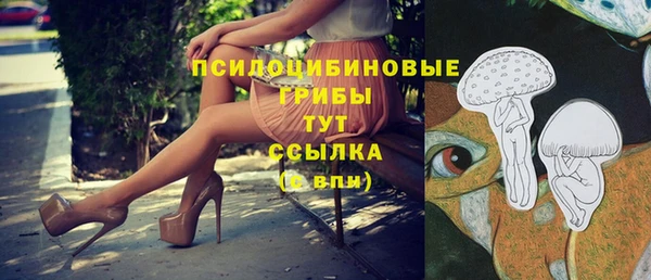 дживик Елабуга