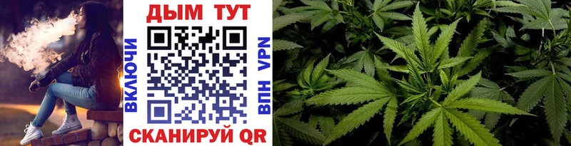 Купить закладки  Людиново  Конопля план 